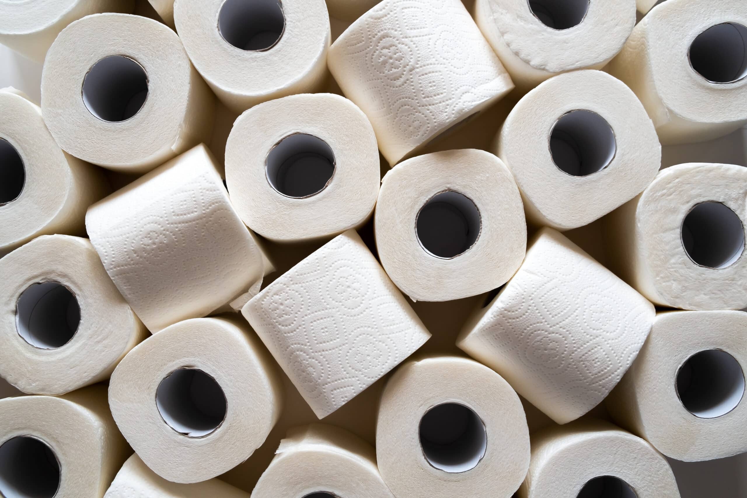 Das Ende des Toilettenpapiers – eine neue Alternative
