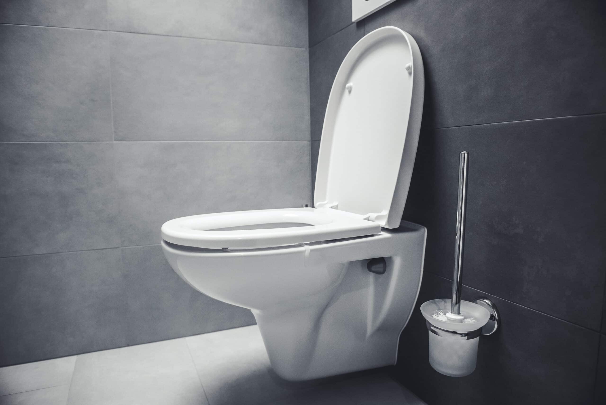 Reinigungstipp Toiletten
