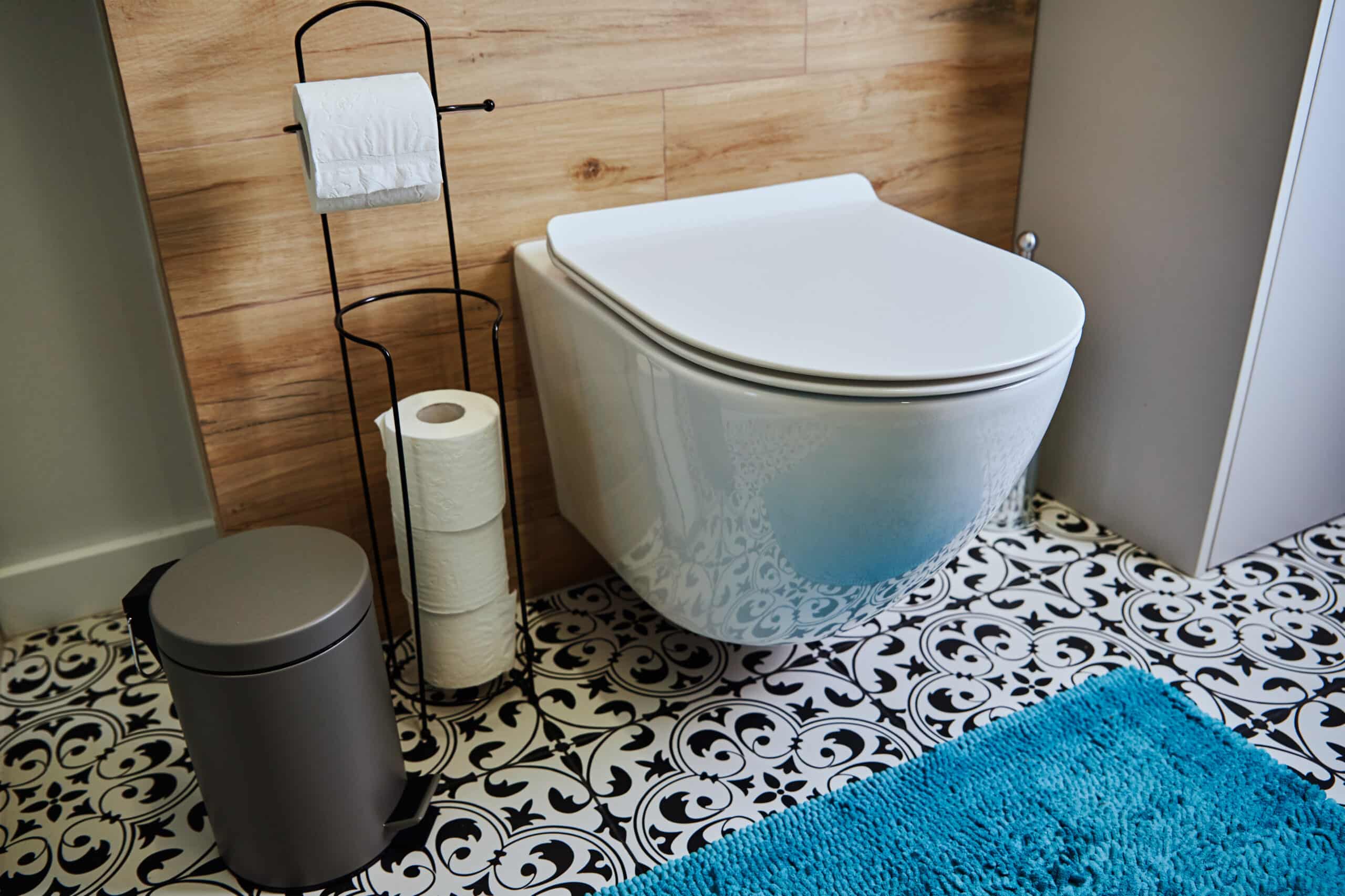 Vom klassischen Bidet bis zur Duschtoilette.